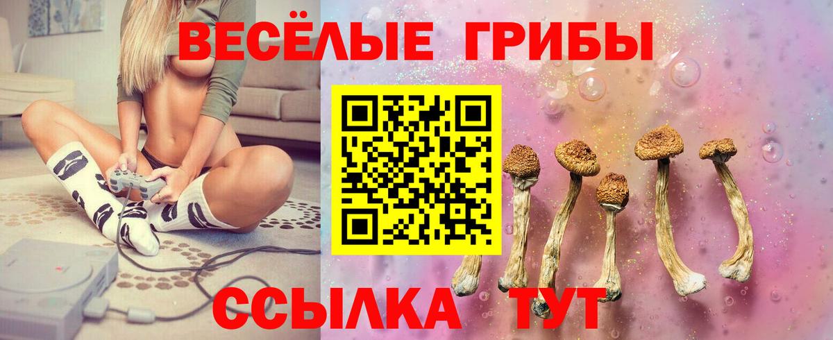 Бахчисарай  Псилоцибиновые грибы мицелий  наркотики  Вход с VPN 
